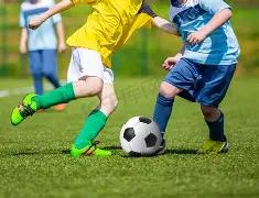 乐鱼体育,产品,乐鱼体育官网,乐鱼体育官网,乐鱼体育平台,乐鱼体育链接,乐鱼体育官方