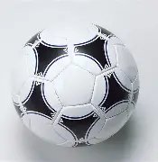 乐鱼体育,资讯,乐鱼体育官网,乐鱼体育官网,乐鱼体育平台,乐鱼体育链接,乐鱼体育官方