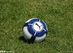 十五运会共,筑大湾区,心连心,乐鱼体育官网,乐鱼体育平台,乐鱼体育链接,乐鱼体育官方