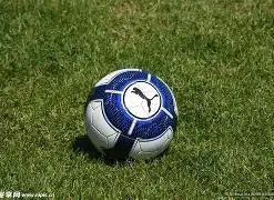 乐鱼体育,资讯,乐鱼体育官网,乐鱼体育官网,乐鱼体育平台,乐鱼体育链接,乐鱼体育官方