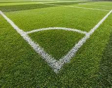 乐鱼体育,资讯,乐鱼体育官网,乐鱼体育官网,乐鱼体育平台,乐鱼体育链接,乐鱼体育官方