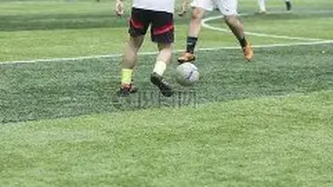 乐鱼体育 产品 114459 flx