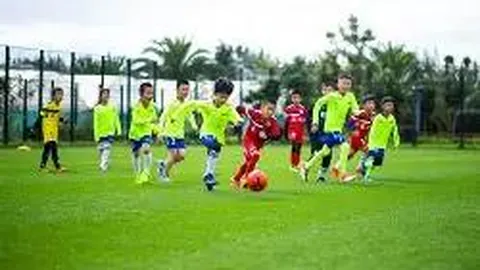 乐鱼体育 资讯 114937 2po