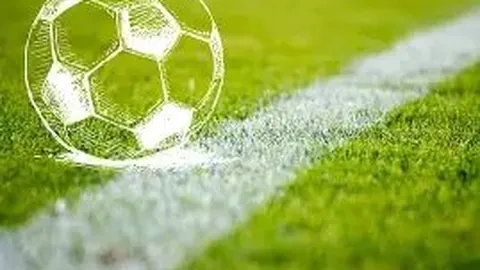 乐鱼体育 资讯 115616 gg7