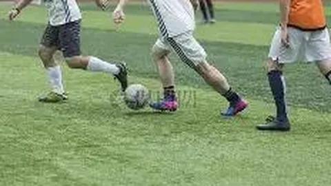 乐鱼体育 产品 115108 gvg