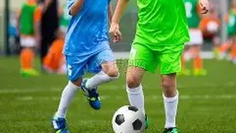 乐鱼体育 产品 114842 gls