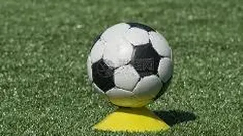 乐鱼体育 产品 115455 a2x