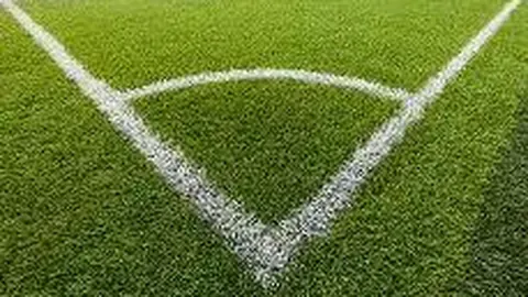 乐鱼体育 资讯 095219 fcg