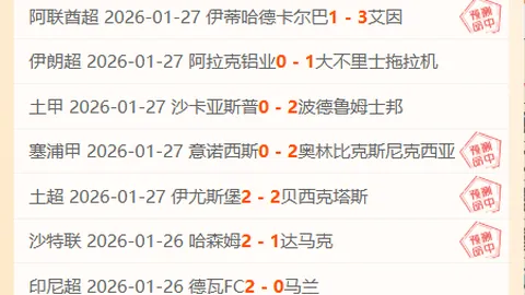 篮球健儿在国际训练营中技艺大增