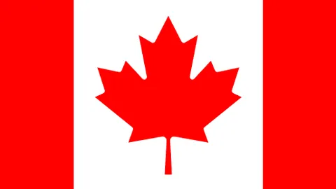 阿诺德加盟皇马关键：麦克马纳曼指出掌握西语至关重要，马德里英语人才稀缺